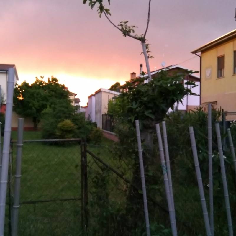 Temporare ha