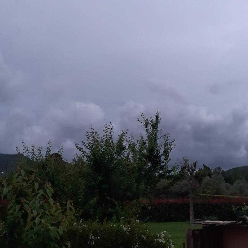 Fotosegnalazione di Camaiore