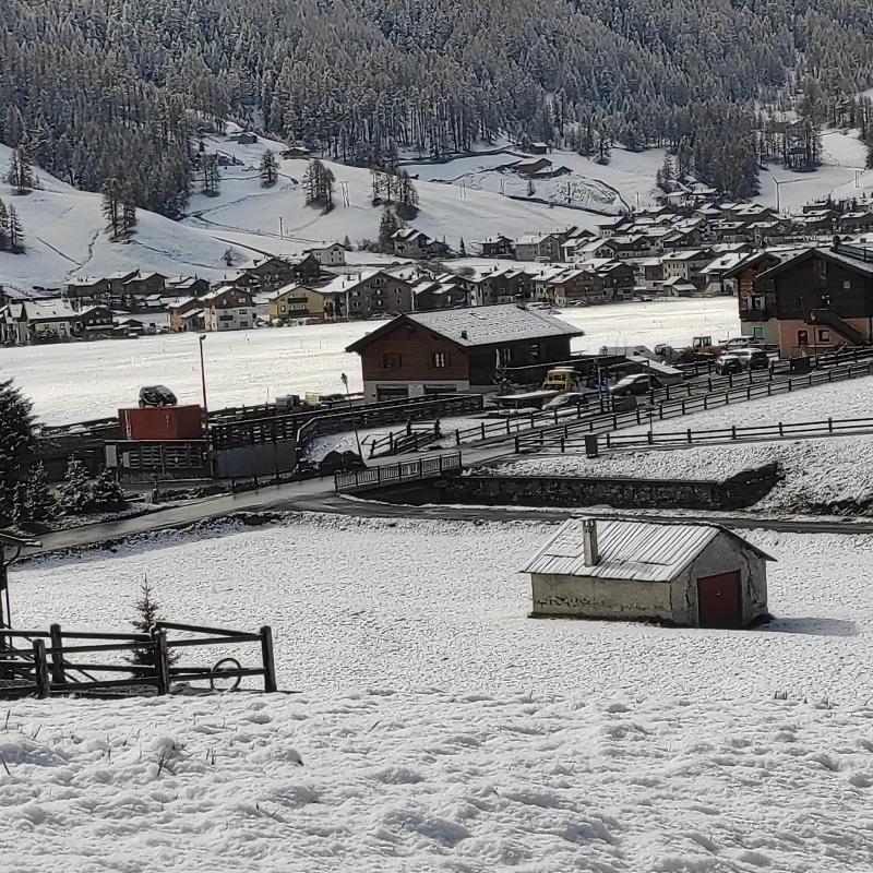 Livigno zona pemont 22_52021