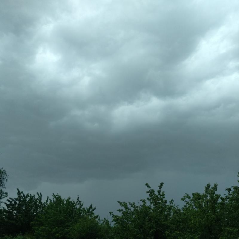 Fotosegnalazione di Carbonera