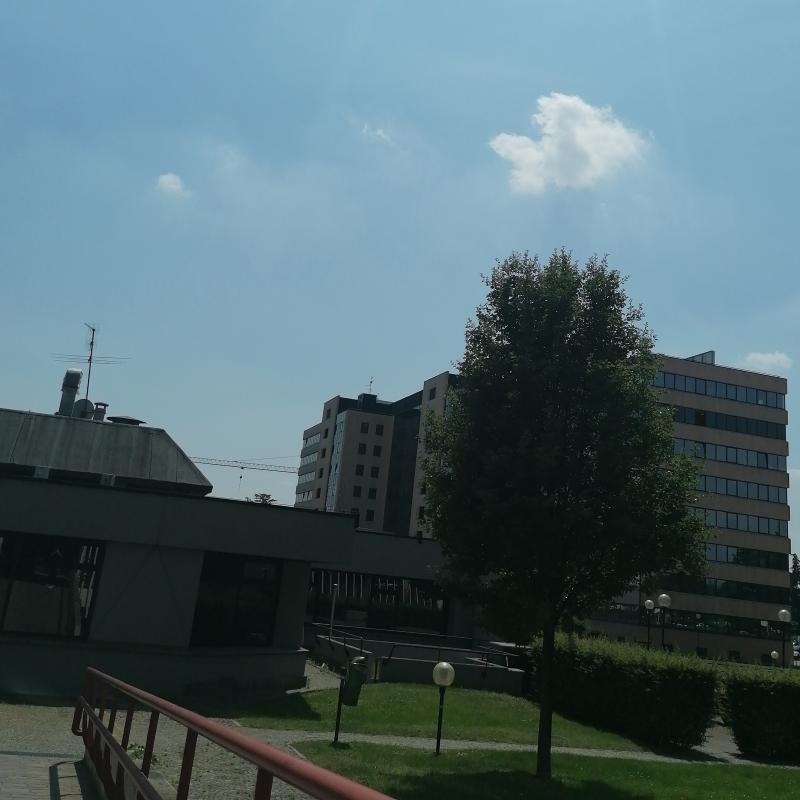 Fotosegnalazione di Agrate brianza
