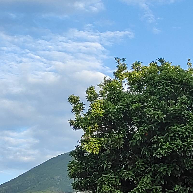 Fotosegnalazione di Sant'anastasia