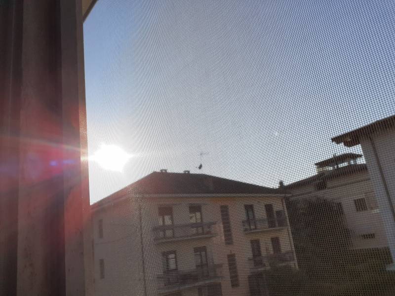 Solegiato