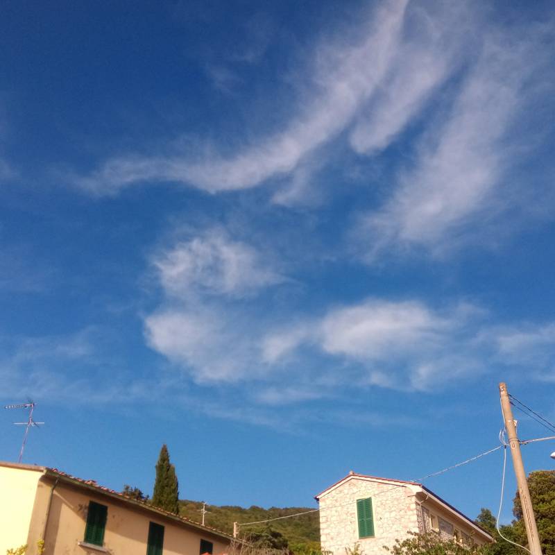 Fotosegnalazione di Castellina marittima