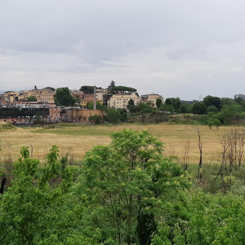 Fotosegnalazione di Roma monte sacro