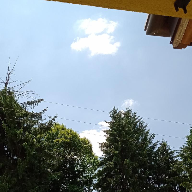 Fotosegnalazione di Oggiono