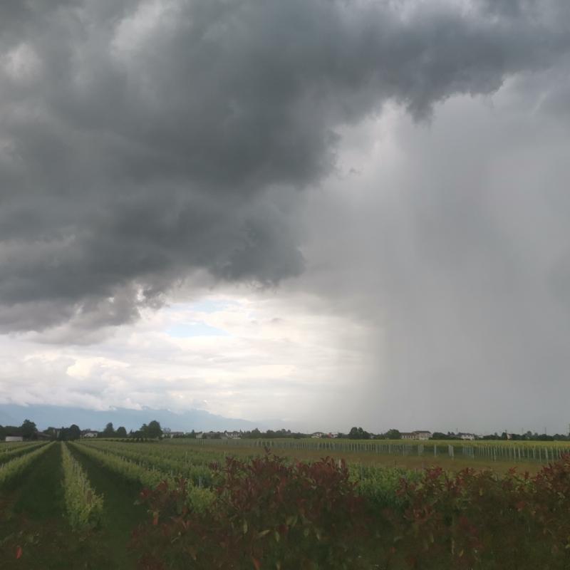 Temporale in arrivo