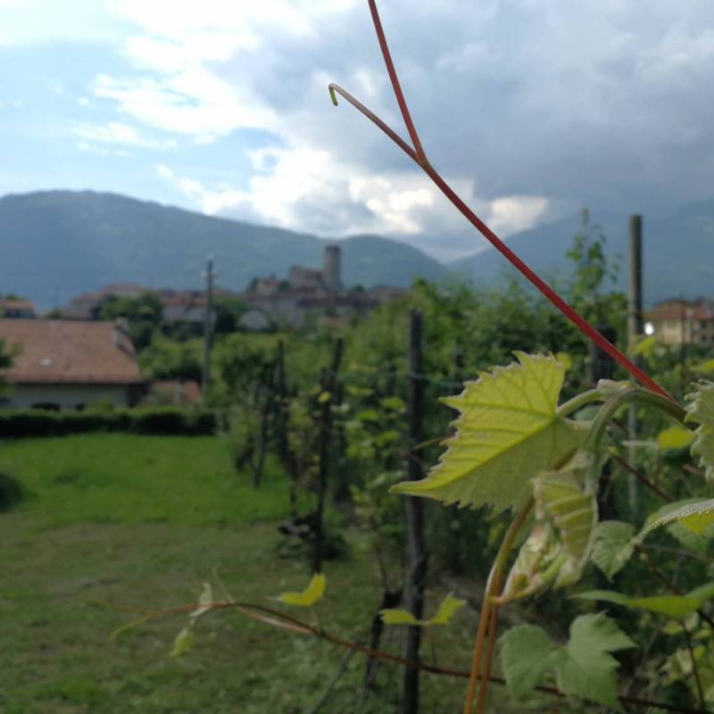 Temporale in arrivo