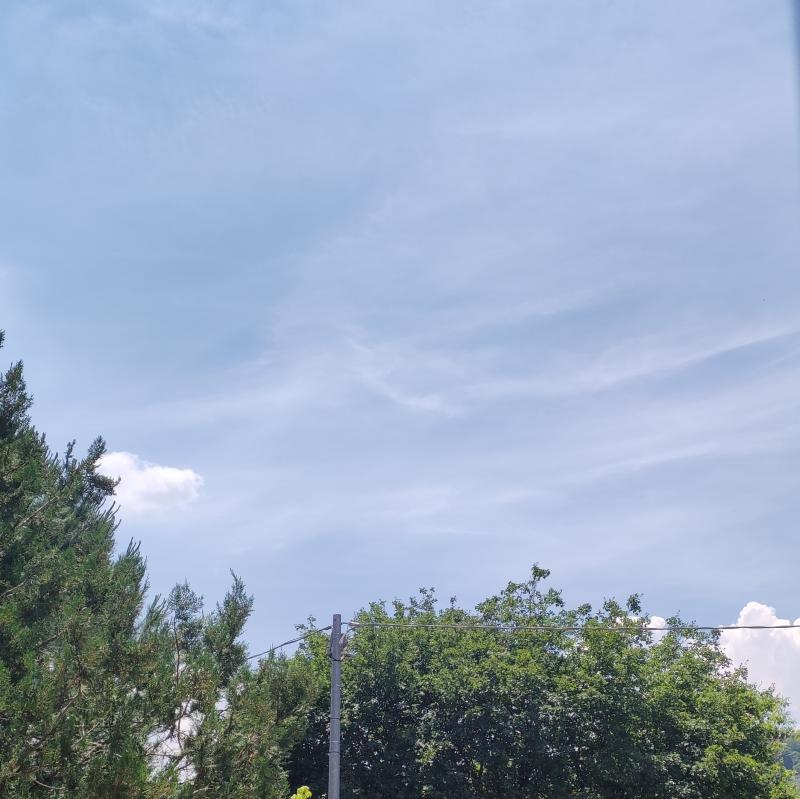 Fotosegnalazione di Paliano
