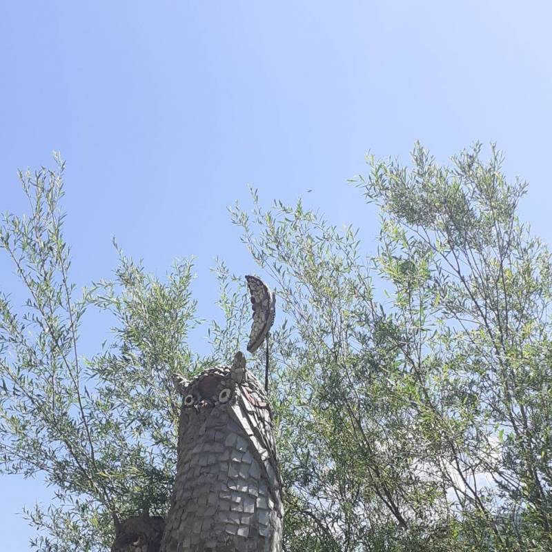 Fotosegnalazione di Corte brugnatella