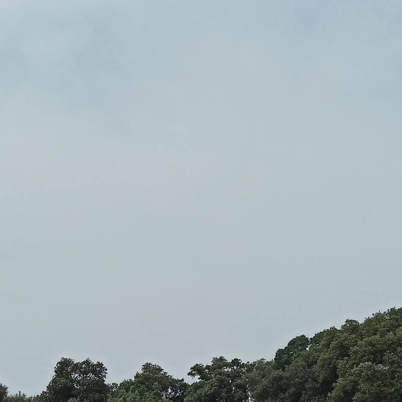 20.06.2021 nuvoloso