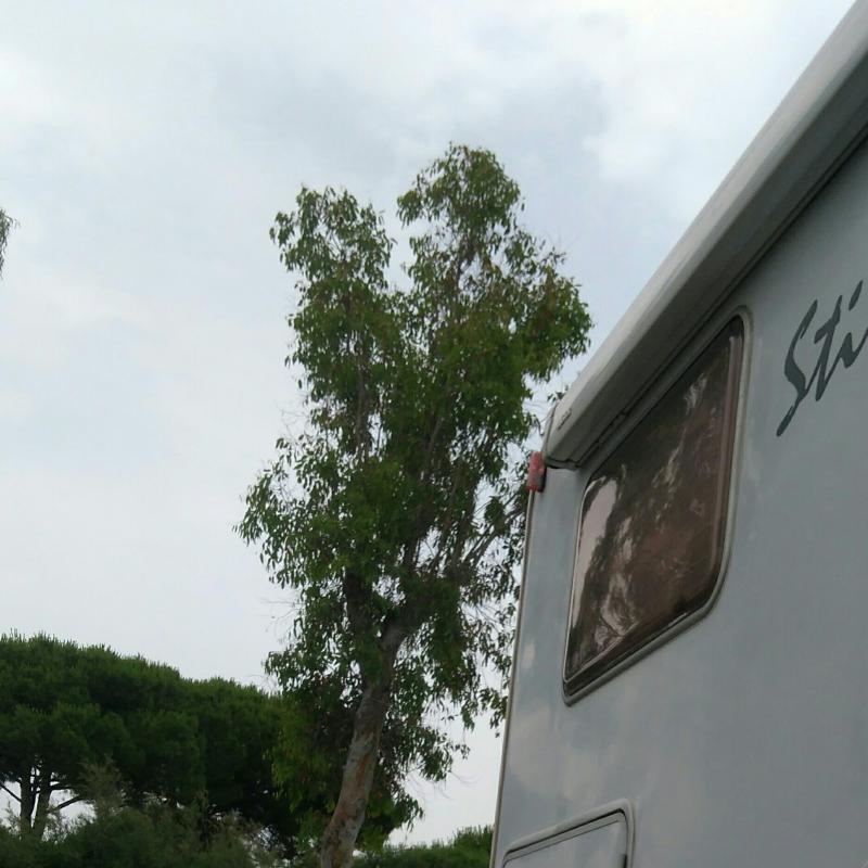 Fotosegnalazione di Marina di bibbona