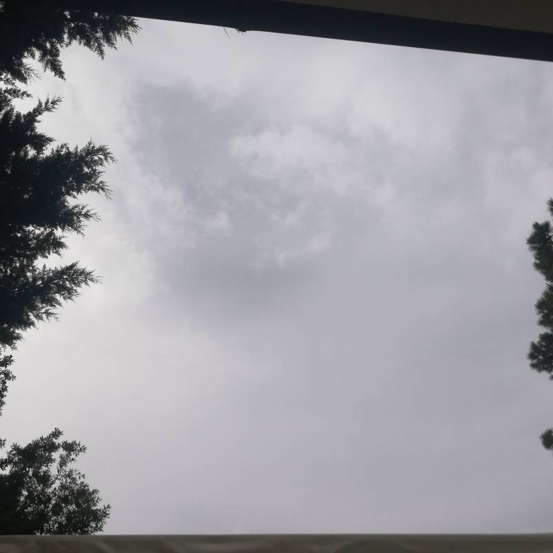 Fotosegnalazione di Castagneto carducci