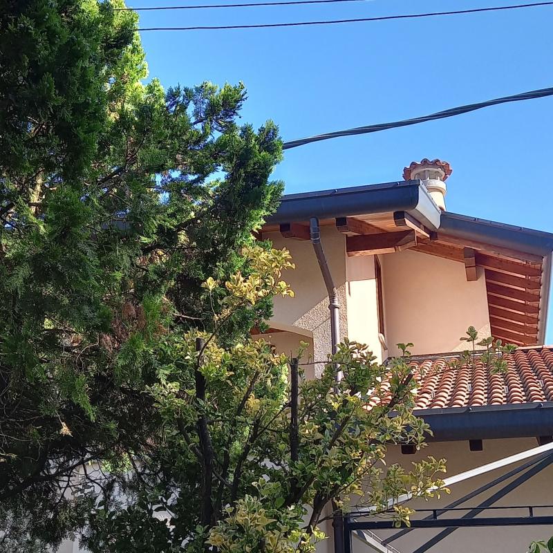 Fotosegnalazione di Oltrona di san mamette