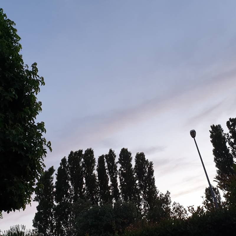 Fotosegnalazione di Bagnacavallo
