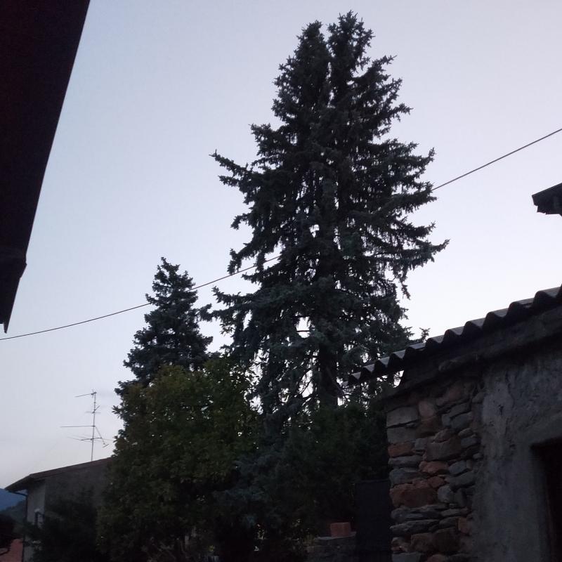 Fotosegnalazione di Cuasso al monte