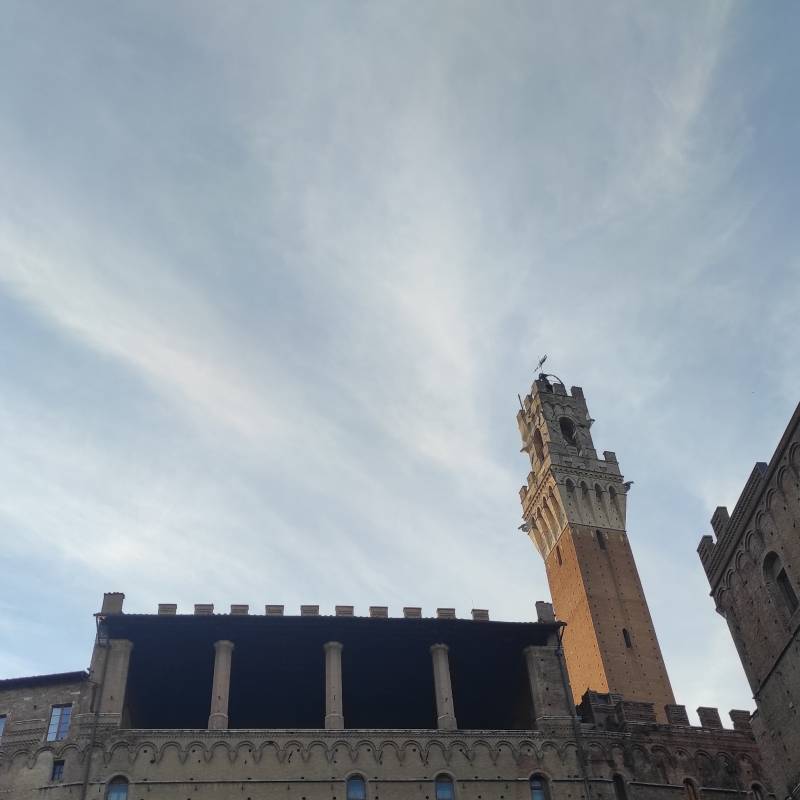 Fotosegnalazione di Siena