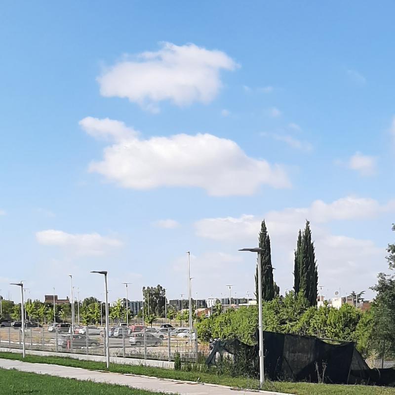 Fotosegnalazione di Roma torre gaia