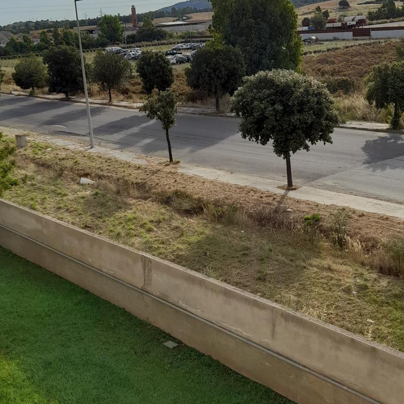 Cielo sereno. zona industriale..