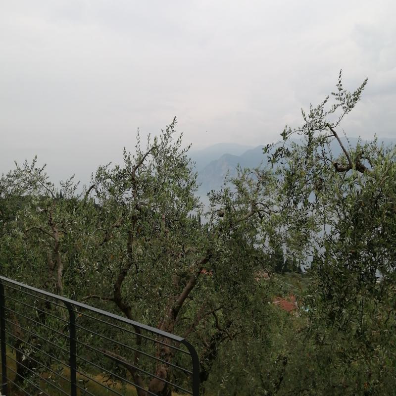 Fotosegnalazione di Malcesine