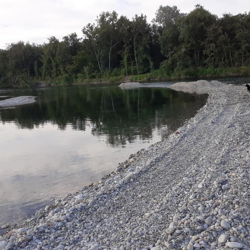 Un ramo del ticino.