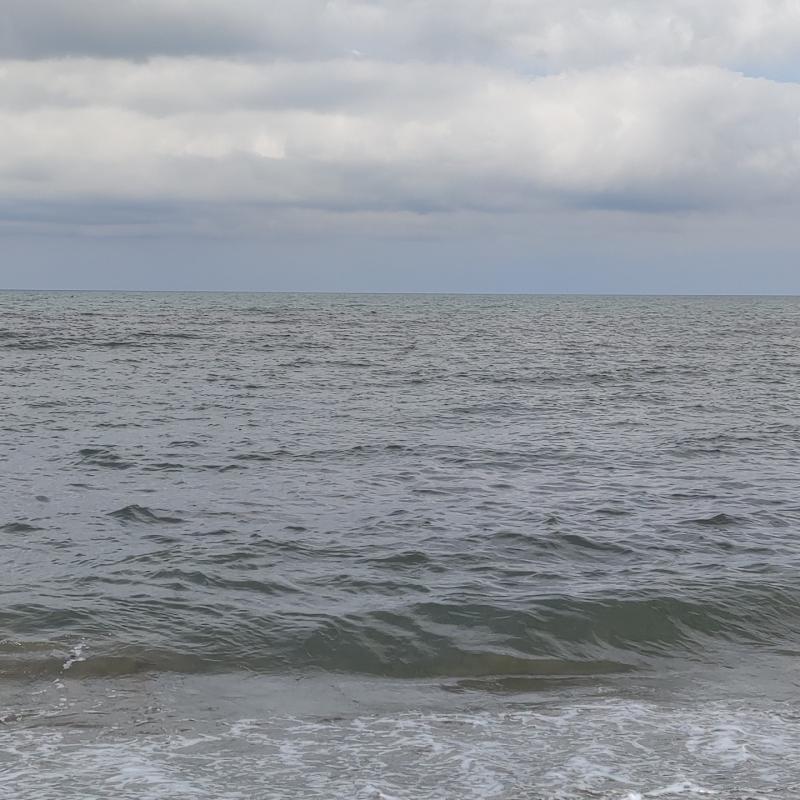 Fotosegnalazione di Forte dei marmi