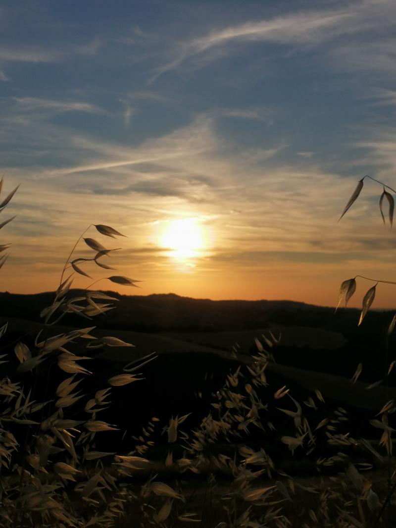 Tramonto spettacolare.