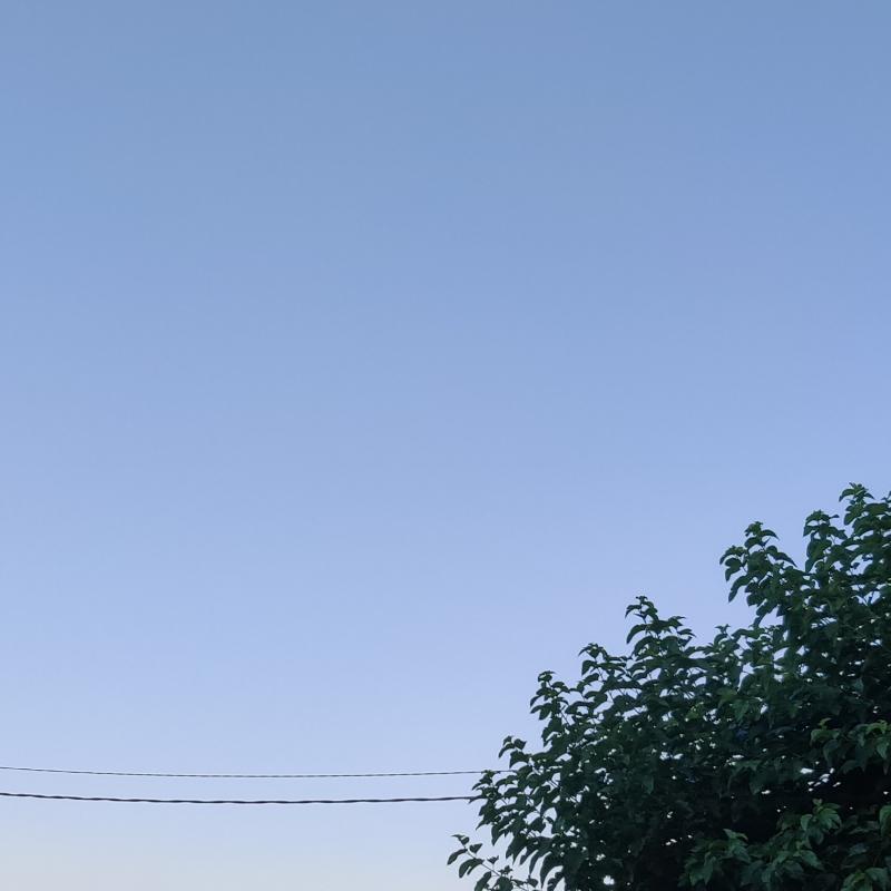 Fotosegnalazione di Gorizia