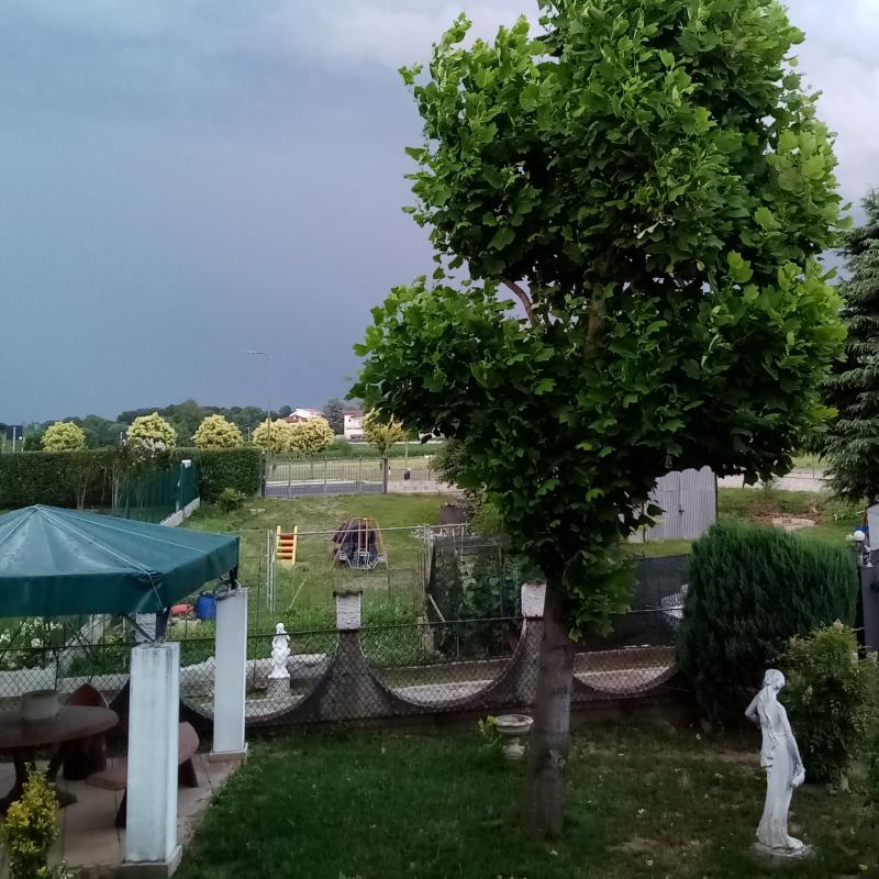 Fotosegnalazione di Appiano gentile
