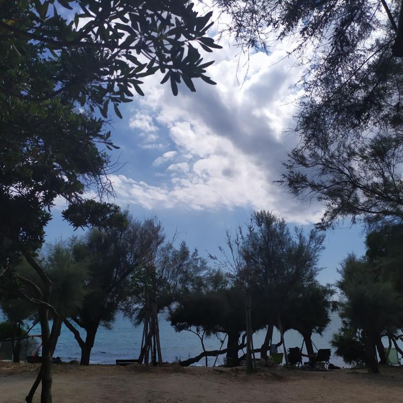 Fotosegnalazione di Porto cesareo