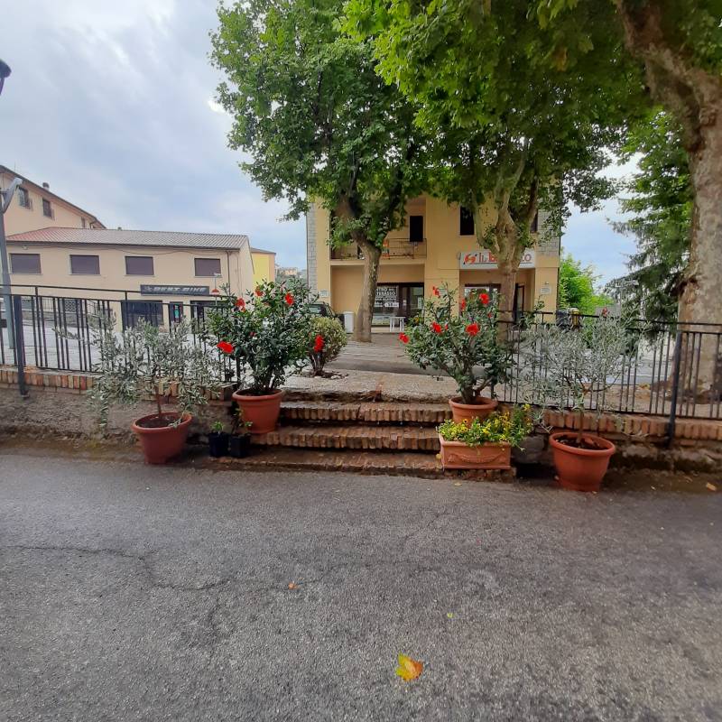Fotosegnalazione di Gualdo tadino