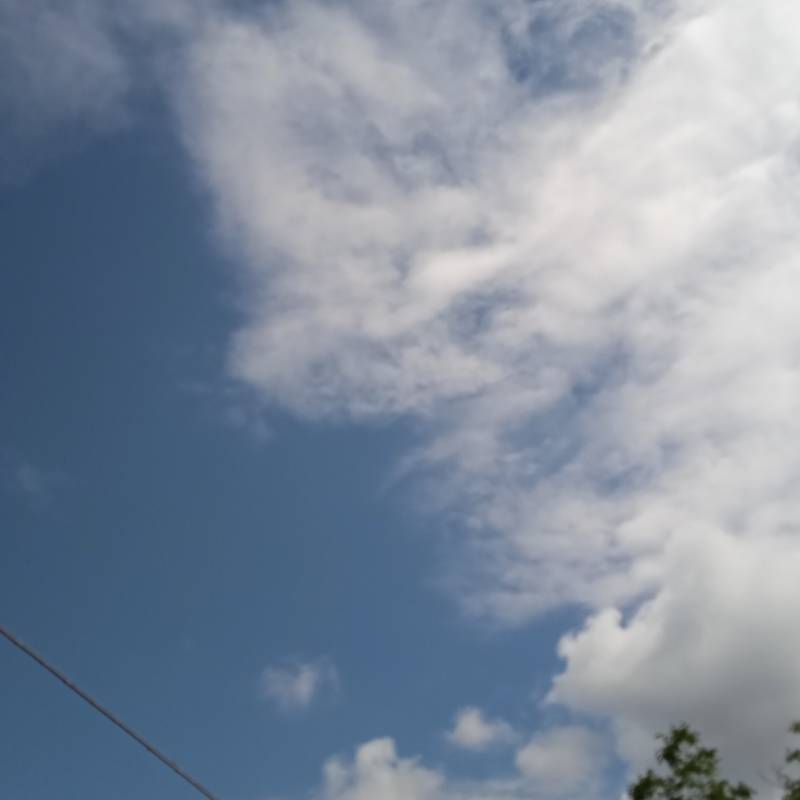 Fotosegnalazione di Belmonte calabro