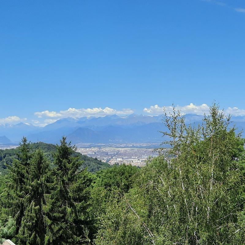 Fotosegnalazione di Torino