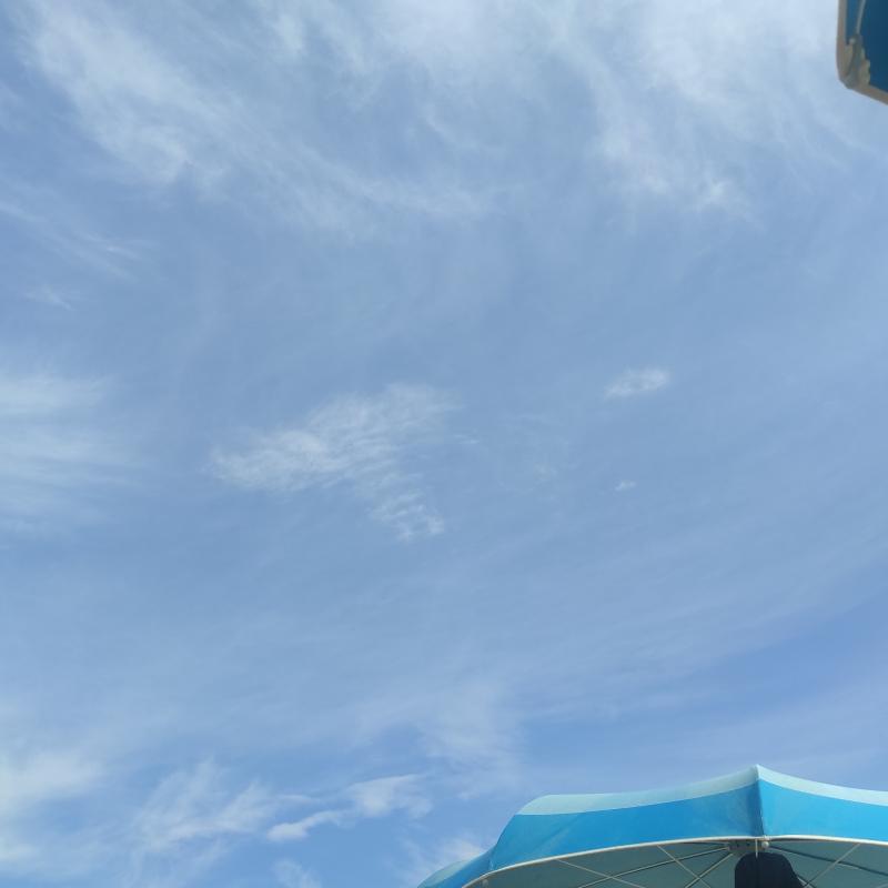 Fotosegnalazione di Bellaria igea marina
