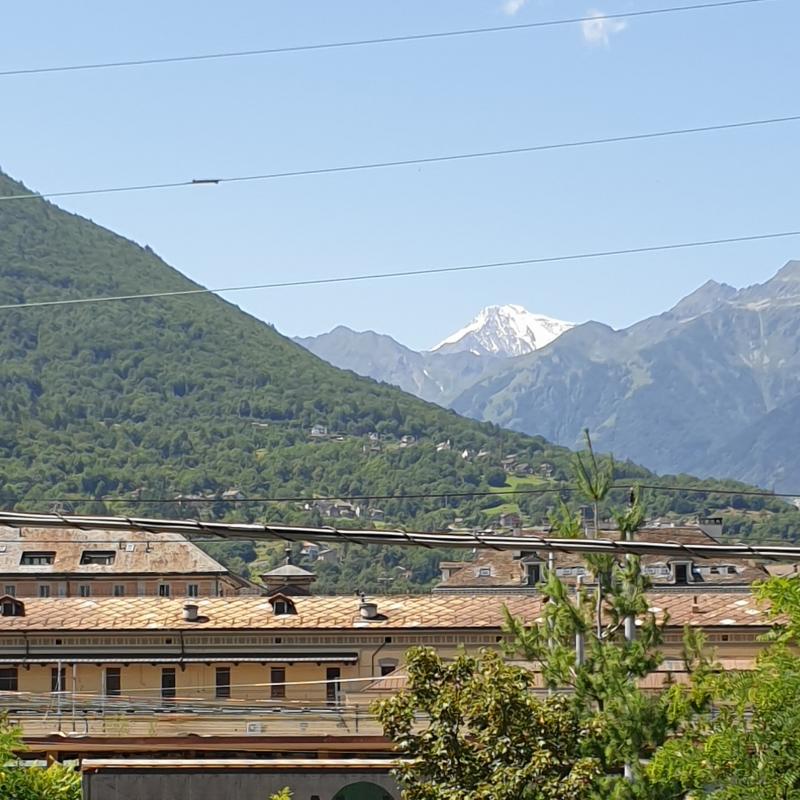 Estate sole