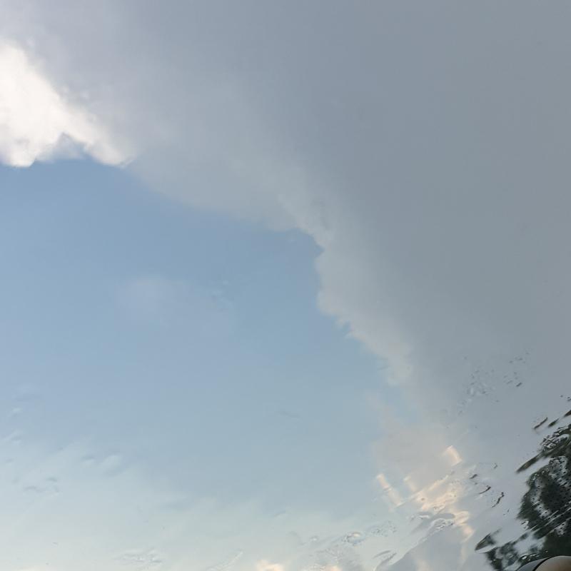 Fotosegnalazione di Zero branco