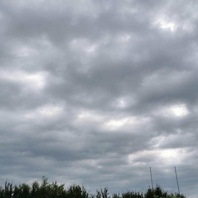 Fotosegnalazione di Madone