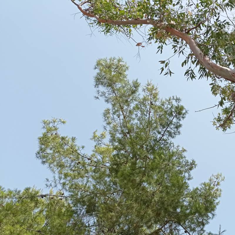Fotosegnalazione di Isola di capo rizzuto