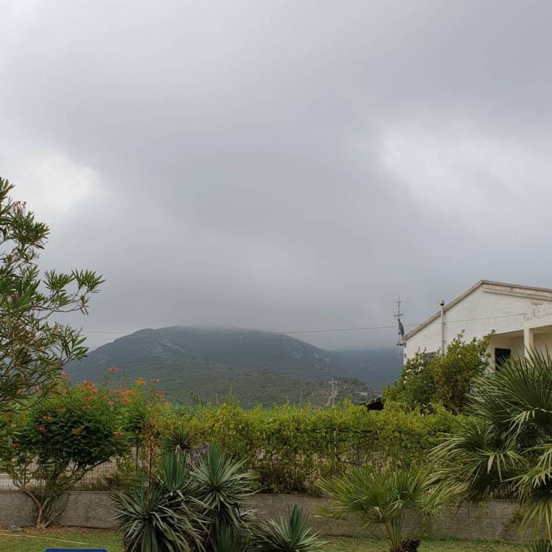 Fotosegnalazione di Campo nell'elba