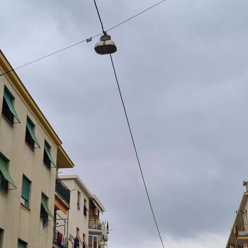 Fotosegnalazione di Savona