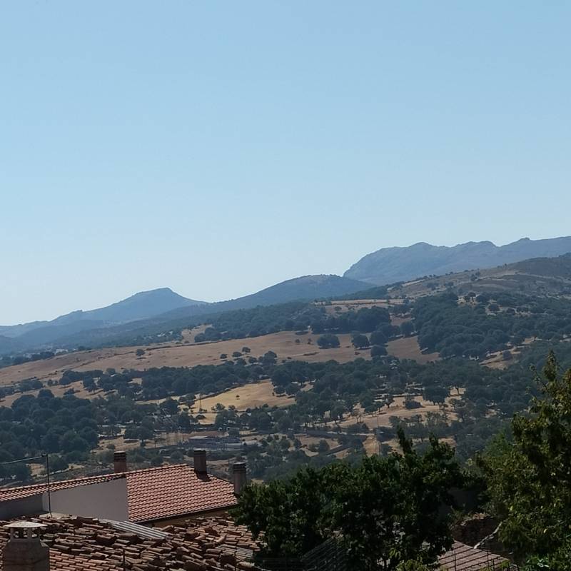 Fotosegnalazione di Fonni