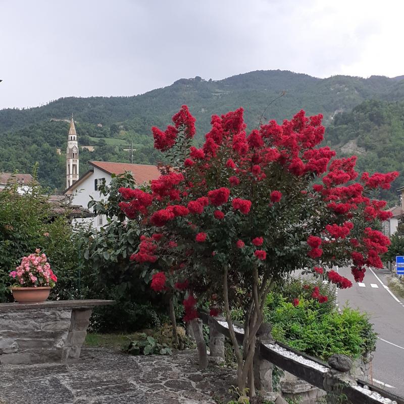 Fotosegnalazione di Corte brugnatella