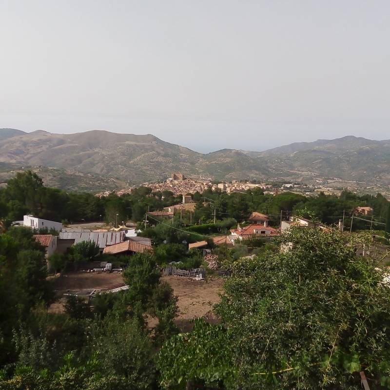 Fotosegnalazione di Castelbuono