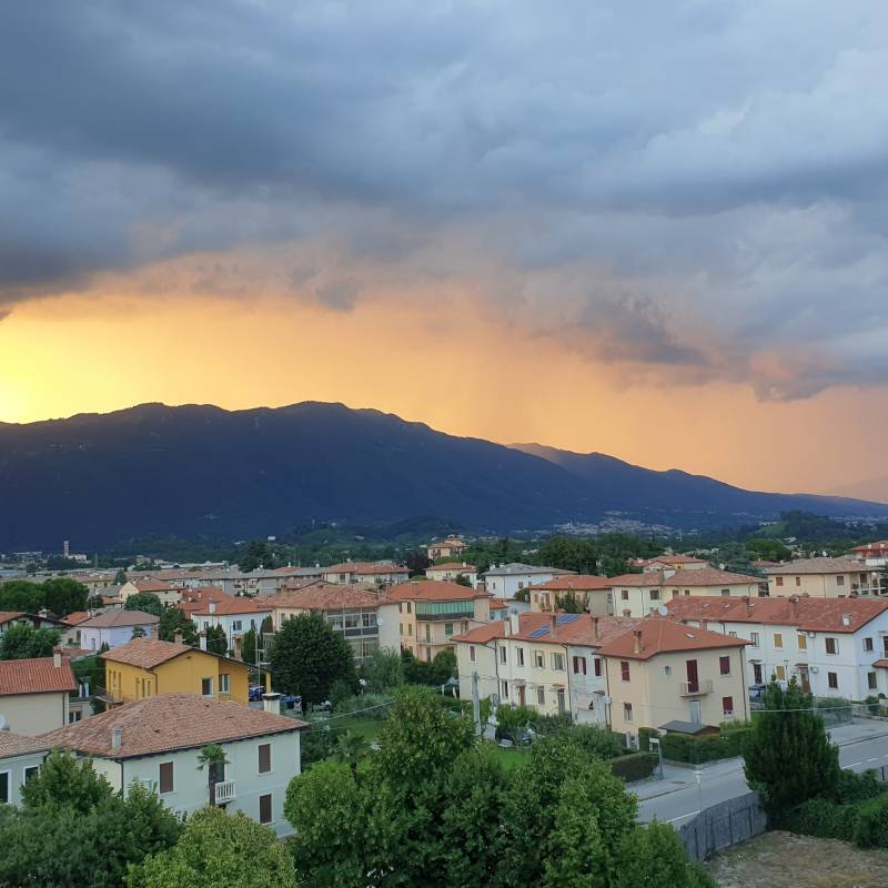 Forse arriva