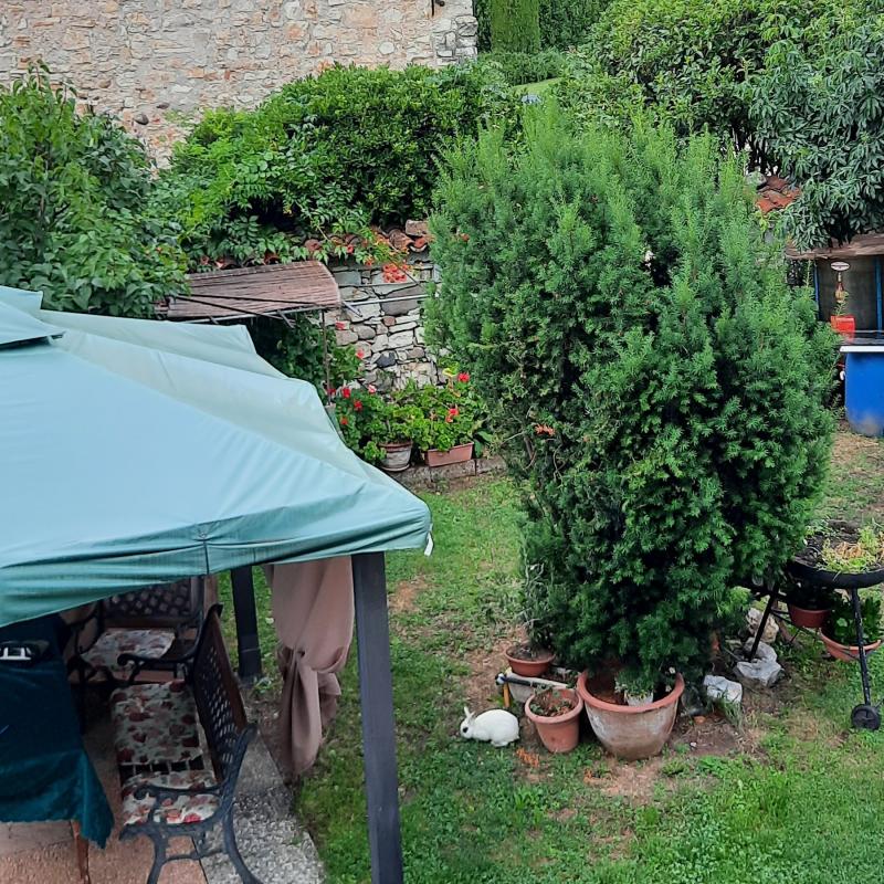Fotosegnalazione di Rodengo saiano