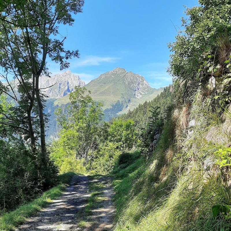Fotosegnalazione di Lozio