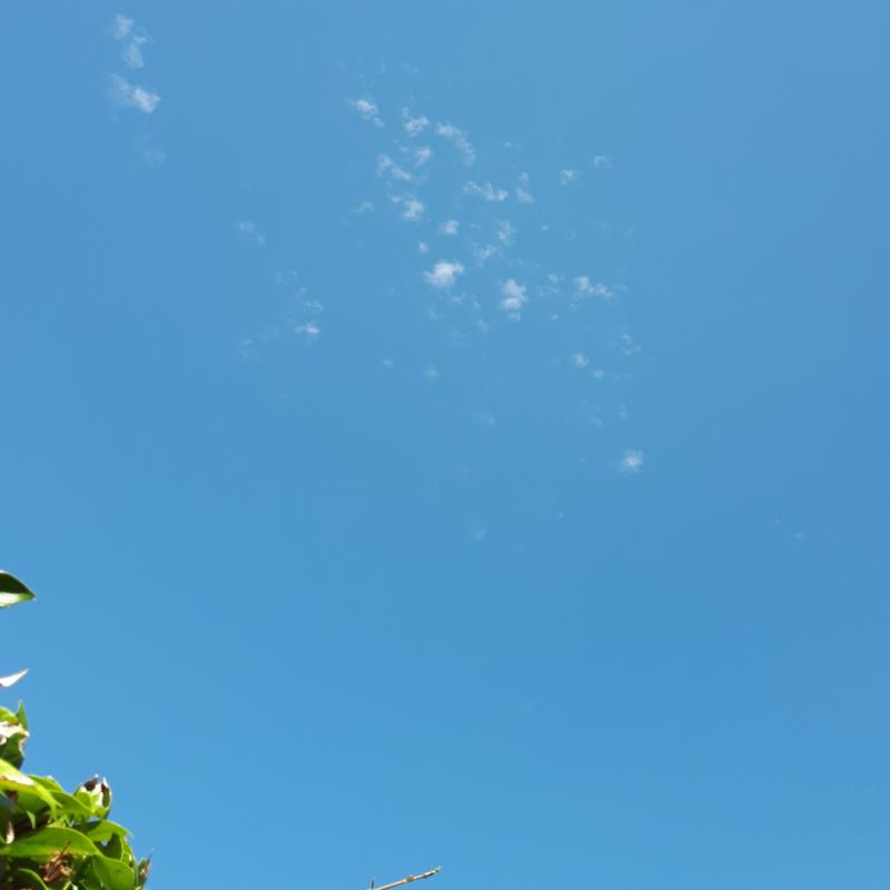 Fotosegnalazione di Cura carpignano
