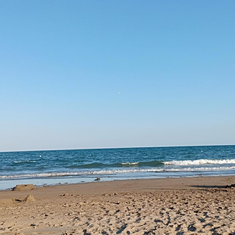 Fotosegnalazione di Cavallino treporti