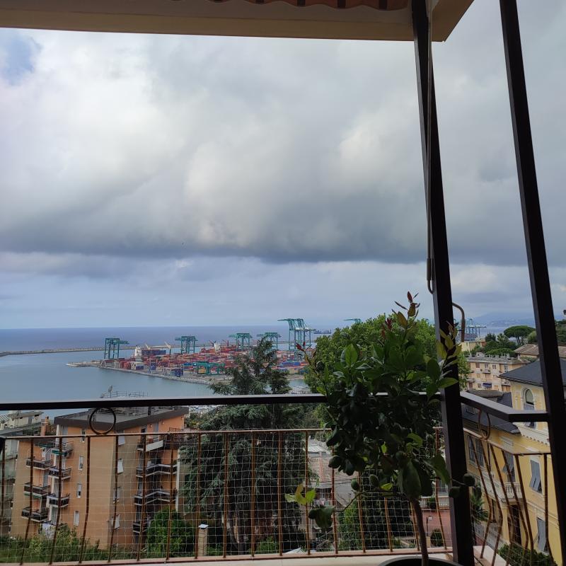 Fotosegnalazione di Genova pegli