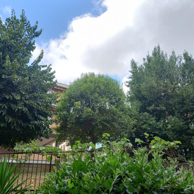 Fotosegnalazione di Roma della vittoria suburbio